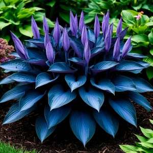 Хоста Сикрет Гров купить по цене от 570р. в интернет-магазине «Посадика» с доставкой почтой в в Армавире и по всей России – [изображение №1].